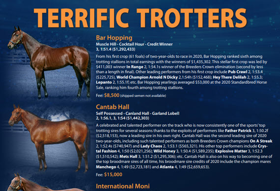 Terrific Trotters